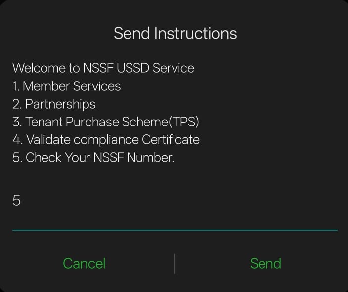 NSSF USSD welcome menu after dialing 303 with Check Your NSSF Number option